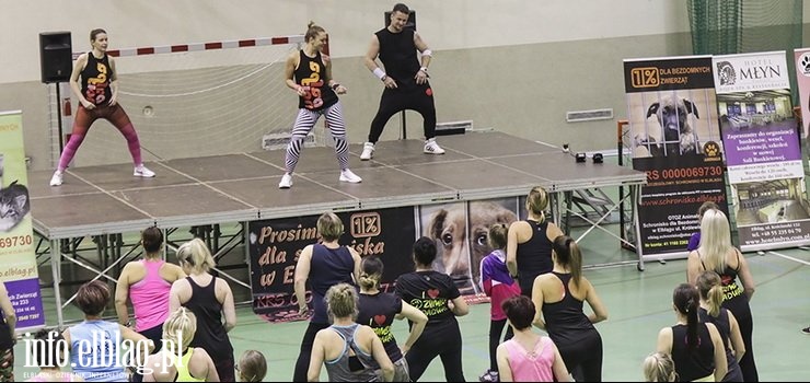 Zatańczyli dla podopiecznych elbląskiego schroniska i zebrali ok. 2 tys. zł!