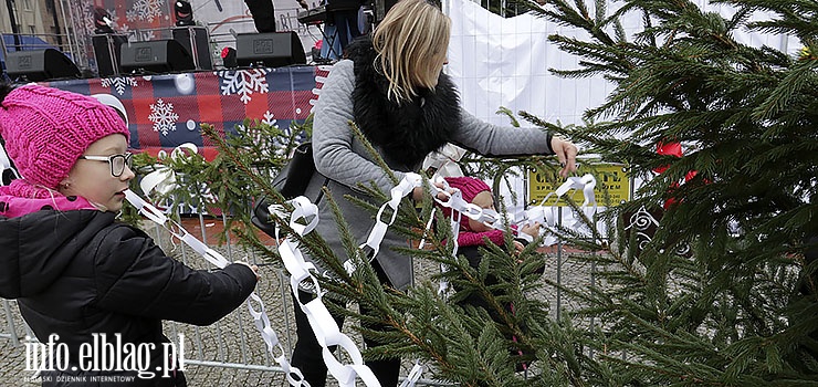 Pierwszy dzień świątecznych spotkań. Elblążanie wspólnie ozdabiali drzewka