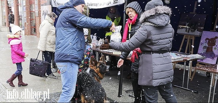 Ponad 5,5 tys. z na koncie Schroniska. Tyle udao si zebra podczas witecznych Spotka Elblan!