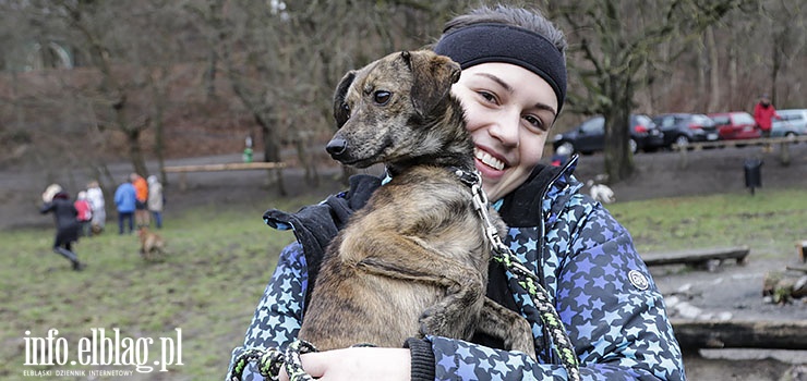 Kolejna edycja okazała się strzałem w dziesiątkę. Zobacz zdjęcia z Biegu na Sześć Łap