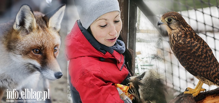 Anna Kamińska: U nas zwierzęta dochodzą do siebie, powoli zaczynają znowu ufać ludziom
