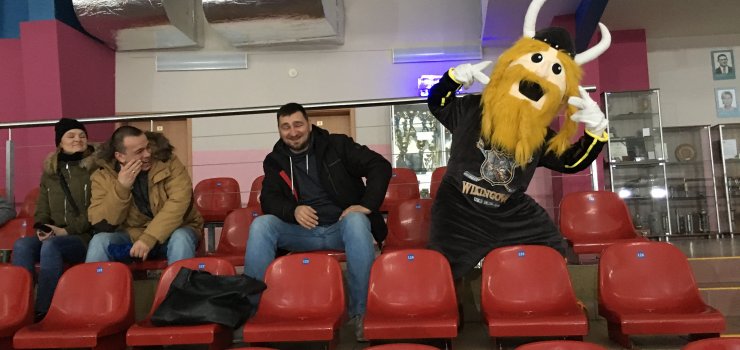 Żywa maskotka Wikingów