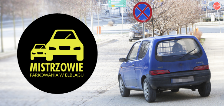 Mistrzowie parkowania w Elblągu część 7 - zobacz zdjęcia