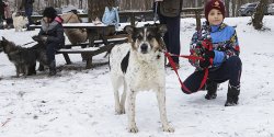"Dzi�ki Waszej wra�liwo�ci i dobroci  50 psiak�w przetupta�o kilka kilometr�w"