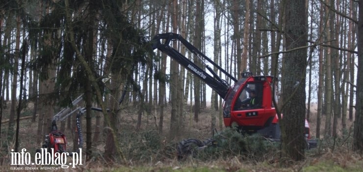 Rozpocza si wycinka drzew w miejscu Przekopu Mierzei Wilanej. Zobacz zdjcia