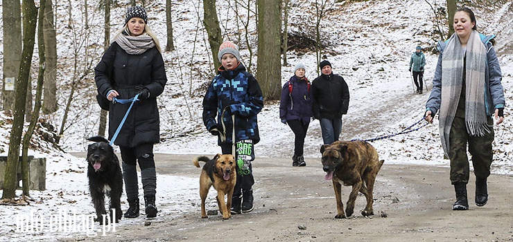 Bieg na Sześć Łap w walentynkowej odsłonie - zobacz zdjęcia