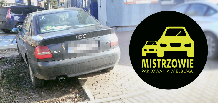 Mistrzowie parkowania w Elblągu część 10 - zobacz zdjęcia