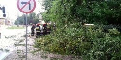 Wichura po�ama�a drzewa i zerwa�a dach. Dzisiaj mo�e jeszcze powia� mocniej