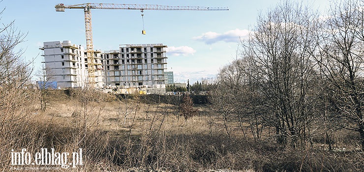 Miasto chce sprzedać duży teren przy ul. Królewieckiej