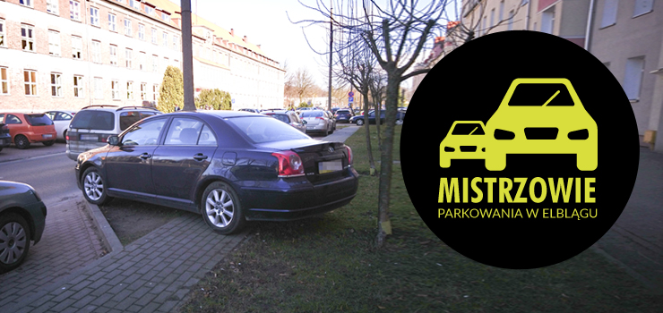 Mistrzowie parkowania w Elblągu część 14 - zobacz zdjęcia