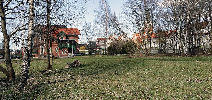 Wikingowie opuszczą Wyspę Spichrzów. Budowa "Bursztynowego Portu" nawet nie ruszyła, teren wraca do miasta