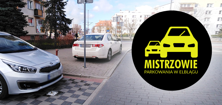 Mistrzowie parkowania w Elblągu część 16 - zobacz zdjęcia