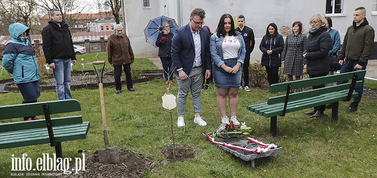 Posadzili dąb ku pamięci kpt. Józefa Antoniaka - zobacz zdjęcia