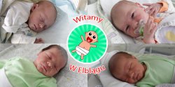 Witamy w Elbl�gu: Dorot�, Szczepana, Adasia, Filipa