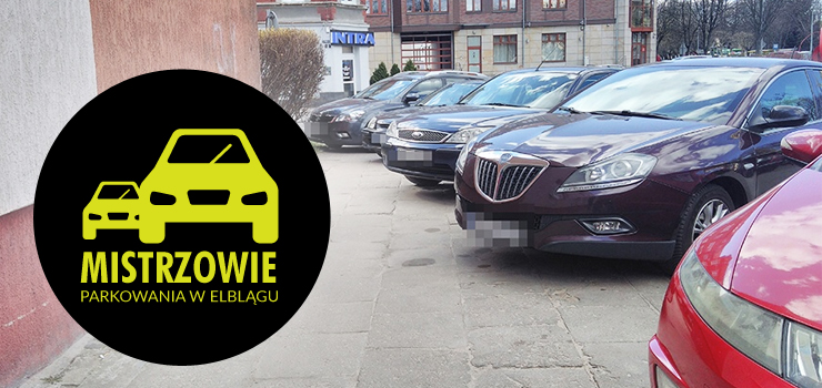 Mistrzowie parkowania w Elblągu część 18 - zobacz zdjęcia