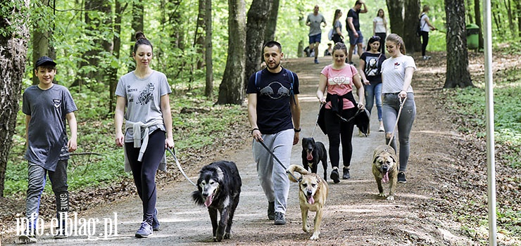 "Mimo piknej pogody wybralicie spacer z psem ze schroniska zamiast play. Jestecie wielcy". Za nami Bieg na 6 ap