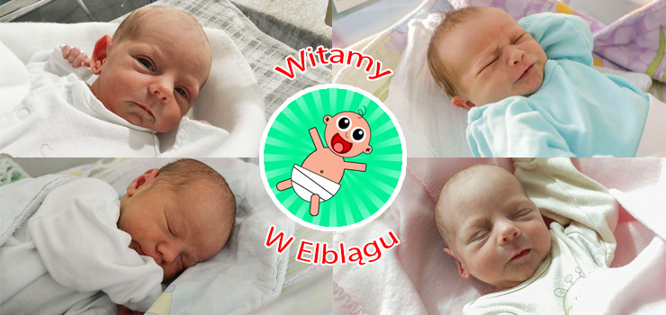 Witamy w Elblągu: Antoninę, Hannę, Antoniego, Feliksa