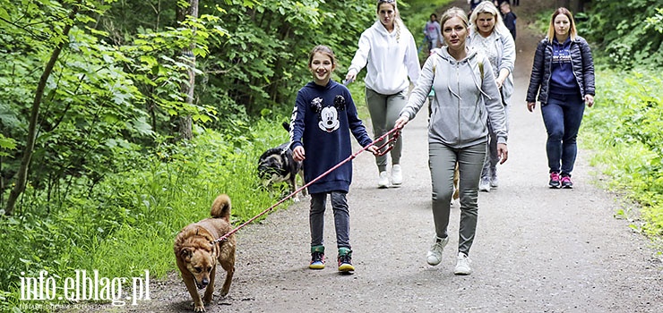 Elblanie pomagali podopiecznym elblskiego schroniska - zobacz zdjcia z "Biegu na 6 ap"