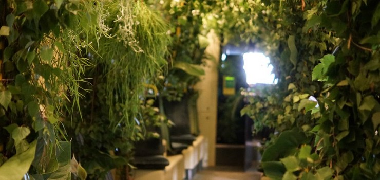 Takim tramwajem elblążanie jeszcze nie jechali. Zielony wagon ruszy w miasto