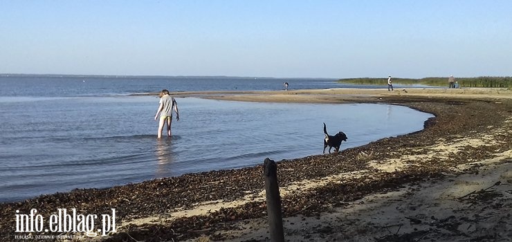 Nad Zalewem Wiślanym legalnie się nie wykąpiesz. Elblążanie znów mają problem