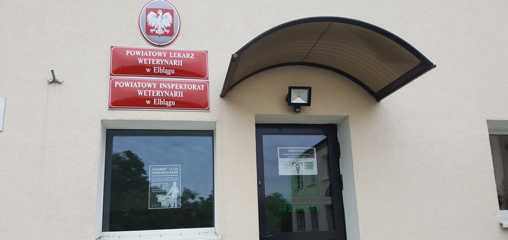 Przewodniczącą OZZPIW: Ludzie często nie wiedzą, jak wygląda nasza sytuacja, czym się zajmujemy