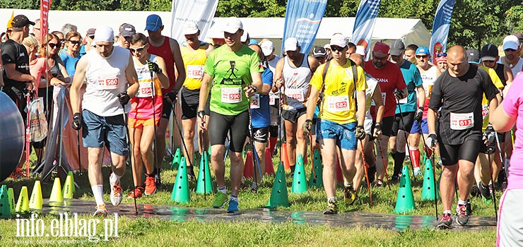 Miasto podzieliło pieniądze na popularyzację sportu wśród elblążan