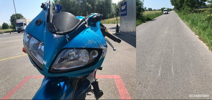 Dzik nie przey, motocyklistka leczy uraz nogi. Policjanci apeluj o ostrono na drogach