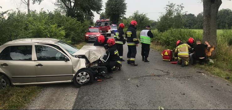 Wypadek w Kamienniku Wielkim (powiat elblski)