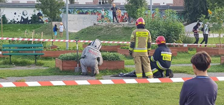 Gniazdo os w Parku przy ul. eromskiego. "To zdarzenie wynikajce z rozwoju cywilizacyjnego"