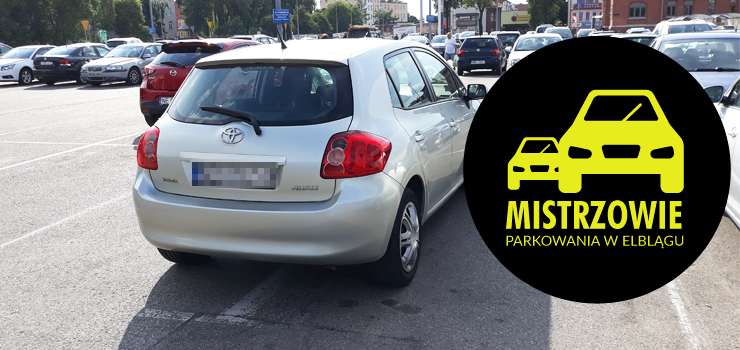 Mistrzowie parkowania w Elblągu (część 30)