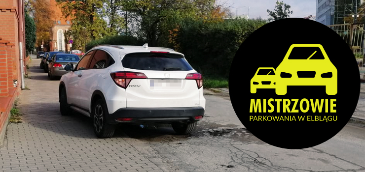 Mistrzowie parkowania w Elblgu (cz 31)