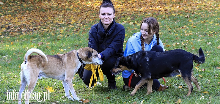 "Zwierzę kocha bezwarunkowo i zawsze cieszy się, gdy człowiek do niego przychodzi." Za nami kolejny "Bieg na 6 łap"