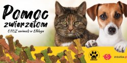 Zbirka dla schroniska. Bezdomne zwierzta czekaj na Twoj pomoc!