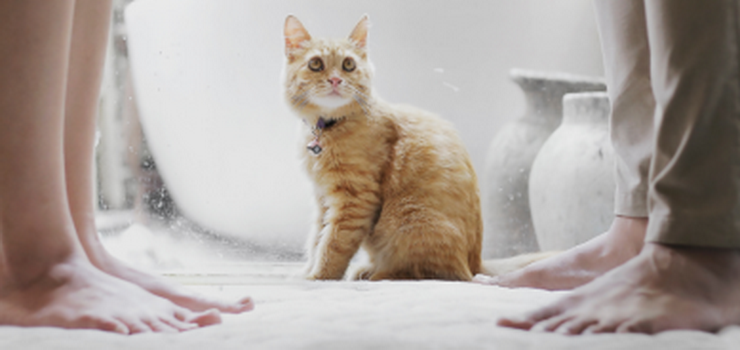 Dlaczego rozwodzimy się najczęściej?