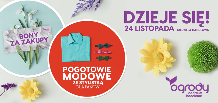 Bony za zakupy w Ogrodach