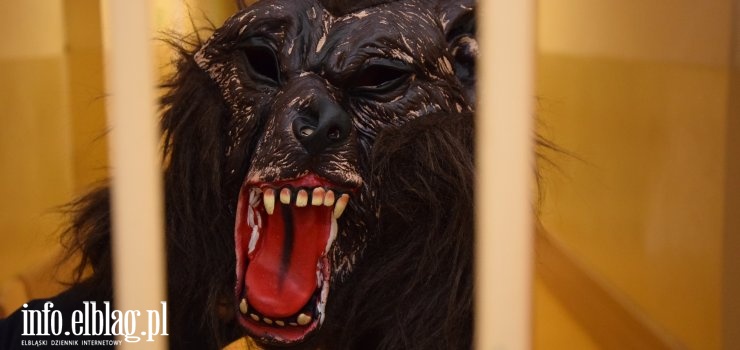 Zakładał maskę wilkołaka i....dokonywał kradzieży