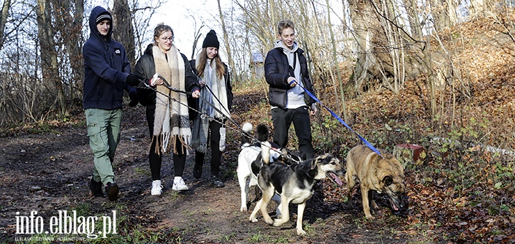 „Bieg na sześć łap” – „dla zwierzaków to jest rozrywka, to odrobina normalności”