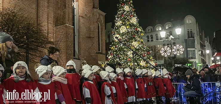 Zabłysła elbląska choinka