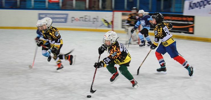 II Turniej Minihokeja na Lodzie o Puchar Prezydenta Elbląga już w niedzielę