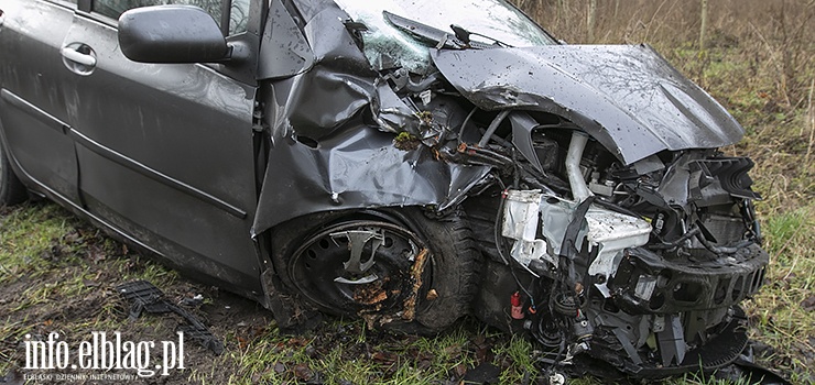 Jelenia Dolina: Straci panowanie nad autem. Toyota uderzya w drzewo