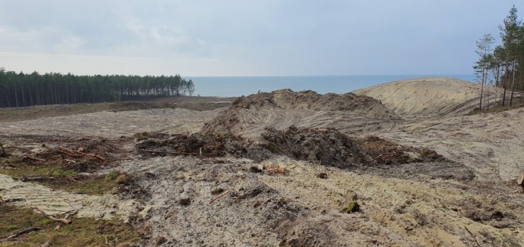 Zobacz aktualne zdjęcia z Przekopu Mierzei od strony Zatoki Gdańskiej