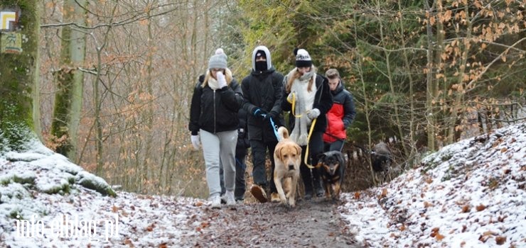 Sylwestrowy "Bieg na 6 łap" - zobacz zdjęcia