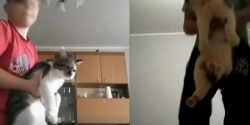 10-latek rzuca kotem i zamieszcza filmiki w sieci. Spraw zaja si policja