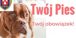 Twj pies - twj obowizek