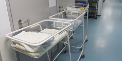Maja i Antoni. To najpopularniejsze imiona w Elblgu w ubiegym roku