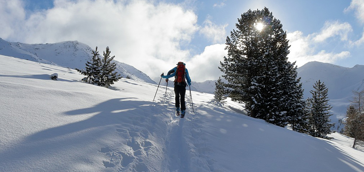 Buty narciarskie Fischer – idealny komfort i parametry na stoku