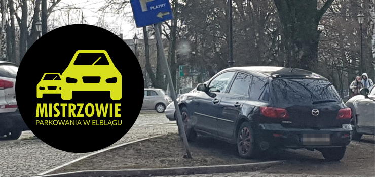 Mistrzowie parkowania w Elblągu (część 42)