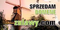 OKAZJA!  Do sprzedaży w niskiej cenie domena zulawy.com wraz z serwisem i zdjęciami