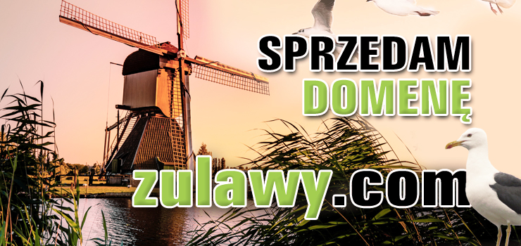 OKAZJA!  Do sprzedaży w niskiej cenie domena zulawy.com wraz z serwisem i zdjęciami