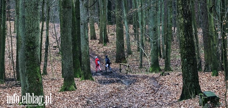 UWAGA! Zakaz wstępu do lasu